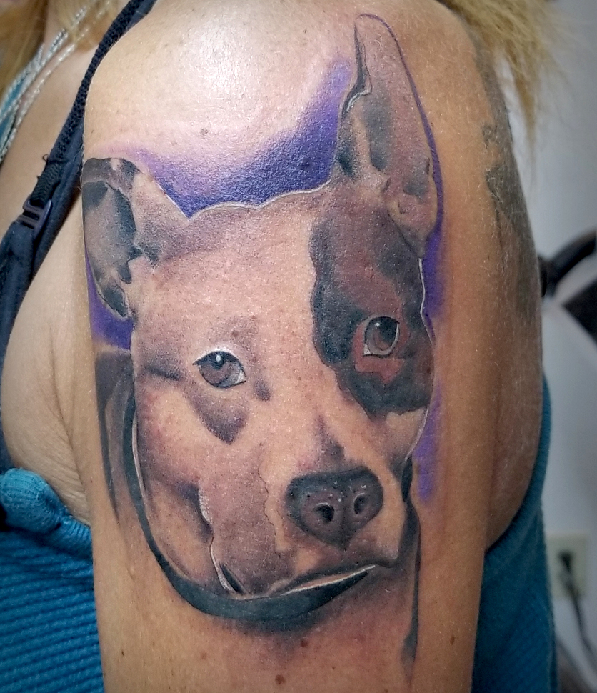 Arm tattoo of dog